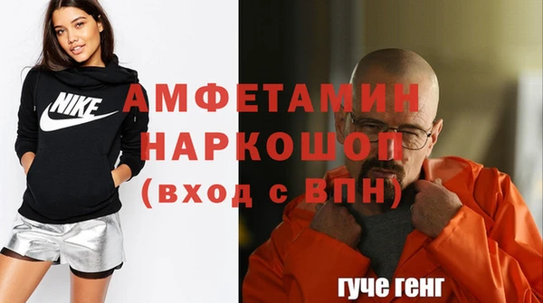 крисы Алексин