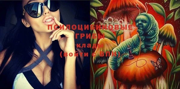 каннабис Новокубанск