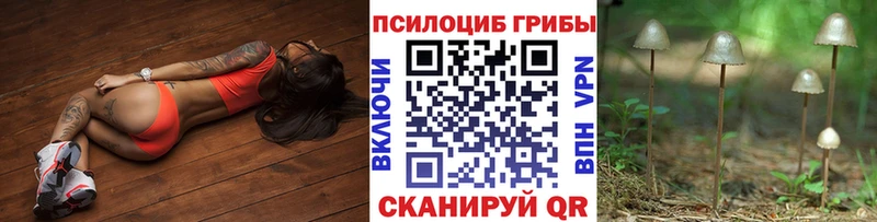 Псилоцибиновые грибы Magic Shrooms Заинск